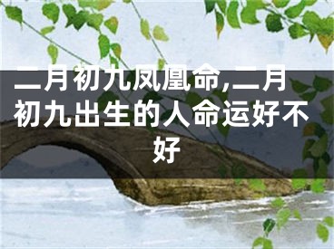 二月初九凤凰命,二月初九出生的人命运好不好