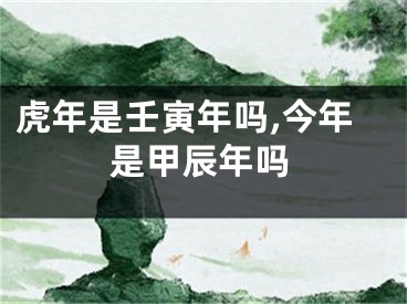 虎年是壬寅年吗,今年是甲辰年吗