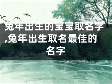 兔年出生的宝宝取名字,兔年出生取名最佳的名字