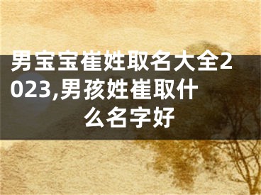 男宝宝崔姓取名大全2023,男孩姓崔取什么名字好