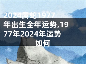 2024属蛇1977年出生全年运势,1977年2024年运势如何