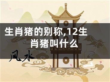 生肖猪的别称,12生肖猪叫什么