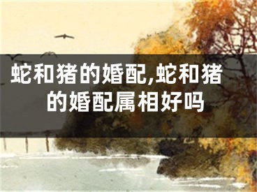 蛇和猪的婚配,蛇和猪的婚配属相好吗