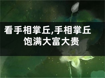 看手相掌丘,手相掌丘饱满大富大贵