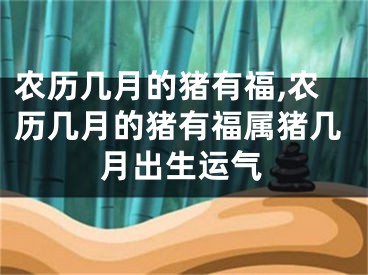 农历几月的猪有福,农历几月的猪有福属猪几月出生运气