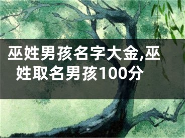 巫姓男孩名字大金,巫姓取名男孩100分