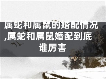 属蛇和属鼠的婚配情况,属蛇和属鼠婚配到底谁厉害
