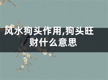 风水狗头作用,狗头旺财什么意思