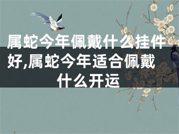 属蛇今年佩戴什么挂件好,属蛇今年适合佩戴什么开运