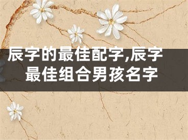 辰字的最佳配字,辰字最佳组合男孩名字
