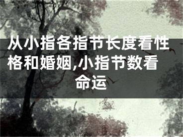 从小指各指节长度看性格和婚姻,小指节数看命运