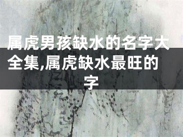 属虎男孩缺水的名字大全集,属虎缺水最旺的字