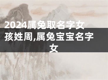 2024属兔取名字女孩姓周,属兔宝宝名字女