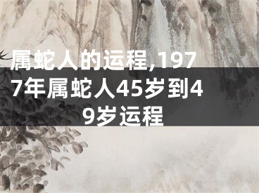 属蛇人的运程,1977年属蛇人45岁到49岁运程