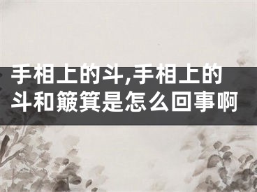手相上的斗,手相上的斗和簸箕是怎么回事啊