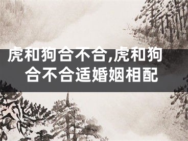 虎和狗合不合,虎和狗合不合适婚姻相配