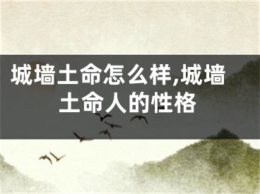 城墙土命怎么样,城墙土命人的性格