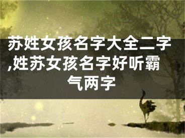 苏姓女孩名字大全二字,姓苏女孩名字好听霸气两字