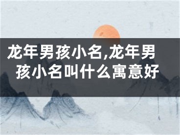 龙年男孩小名,龙年男孩小名叫什么寓意好
