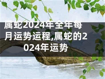 属蛇2024年全年每月运势运程,属蛇的2024年运势