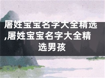 屠姓宝宝名字大全精选,屠姓宝宝名字大全精选男孩