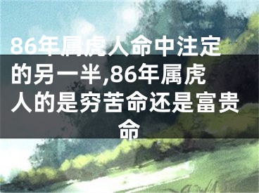 86年属虎人命中注定的另一半,86年属虎人的是穷苦命还是富贵命