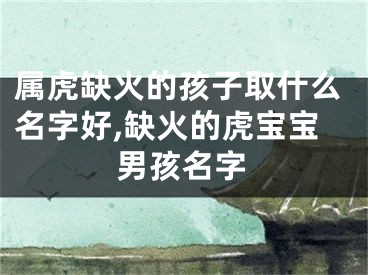 属虎缺火的孩子取什么名字好,缺火的虎宝宝男孩名字