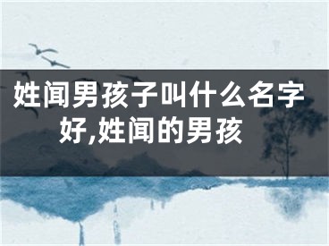 姓闻男孩子叫什么名字好,姓闻的男孩