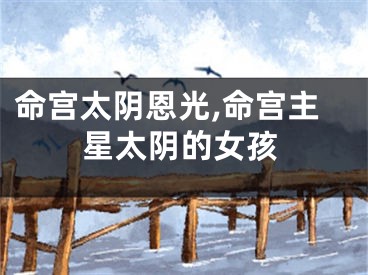 命宫太阴恩光,命宫主星太阴的女孩