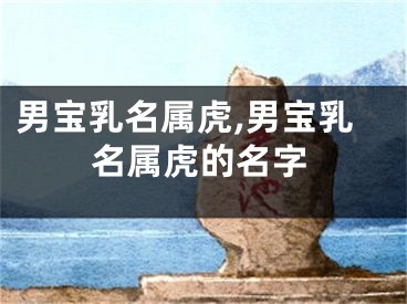 男宝乳名属虎,男宝乳名属虎的名字