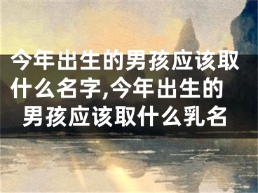 今年出生的男孩应该取什么名字,今年出生的男孩应该取什么乳名