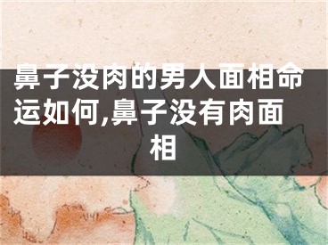 鼻子没肉的男人面相命运如何,鼻子没有肉面相