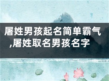 屠姓男孩起名简单霸气,屠姓取名男孩名字