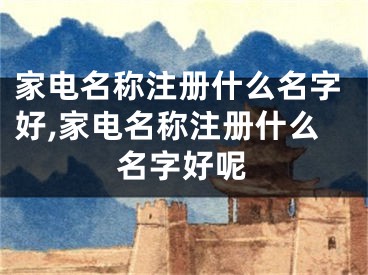 家电名称注册什么名字好,家电名称注册什么名字好呢