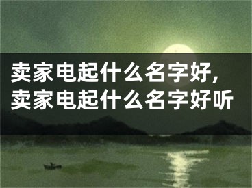 卖家电起什么名字好,卖家电起什么名字好听