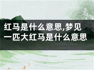 红马是什么意思,梦见一匹大红马是什么意思