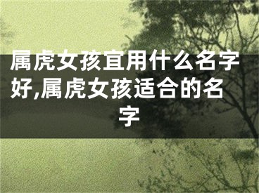 属虎女孩宜用什么名字好,属虎女孩适合的名字