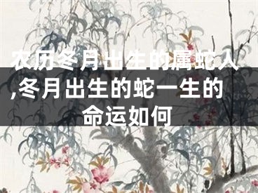 农历冬月出生的属蛇人,冬月出生的蛇一生的命运如何