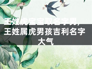 王姓虎宝宝取名字男,王姓属虎男孩吉利名字大气