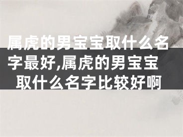 属虎的男宝宝取什么名字最好,属虎的男宝宝取什么名字比较好啊