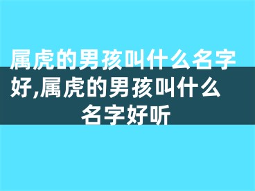 属虎的男孩叫什么名字好,属虎的男孩叫什么名字好听