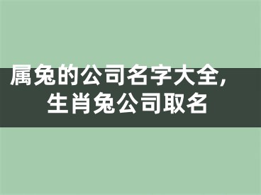 属兔的公司名字大全,生肖兔公司取名