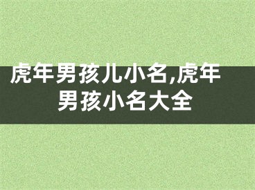 虎年男孩儿小名,虎年男孩小名大全