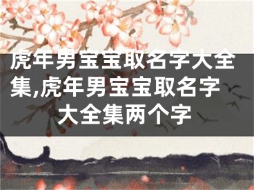 虎年男宝宝取名字大全集,虎年男宝宝取名字大全集两个字