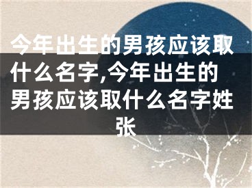 今年出生的男孩应该取什么名字,今年出生的男孩应该取什么名字姓张