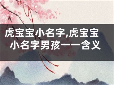 虎宝宝小名字,虎宝宝小名字男孩一一含义