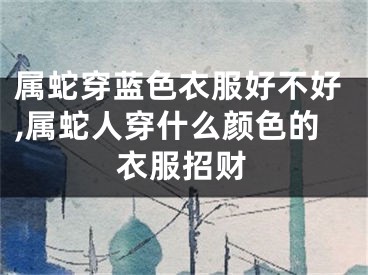 属蛇穿蓝色衣服好不好,属蛇人穿什么颜色的衣服招财