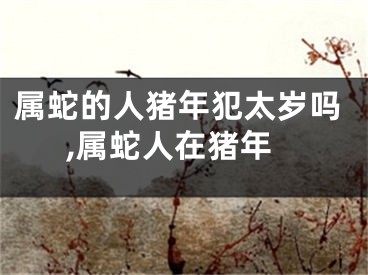 属蛇的人猪年犯太岁吗,属蛇人在猪年