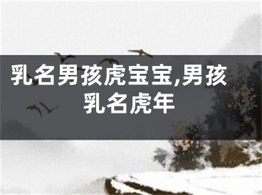 乳名男孩虎宝宝,男孩乳名虎年