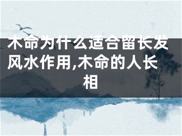 木命为什么适合留长发风水作用,木命的人长相